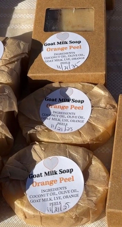 Goat Milk Soap- Naked with orange peel 3.3 oz