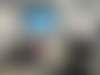 「DE&Iは風ではない。」誰もが違いを認め合う社会づくりを模索するフォーラム開催 スギ薬局グループの取り組み事例も紹介