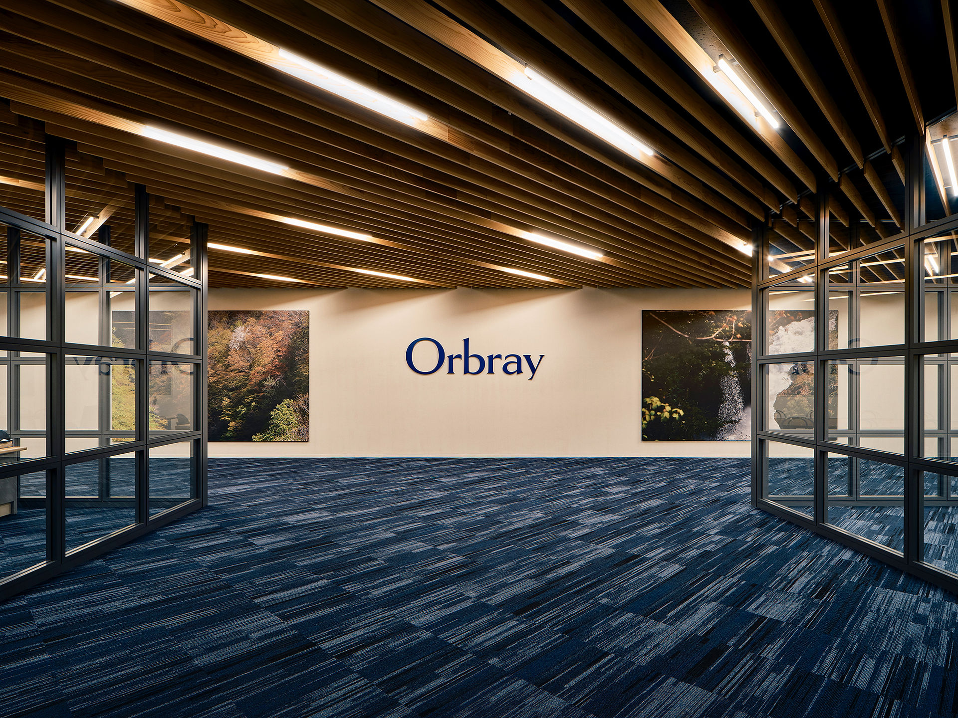 orbray1