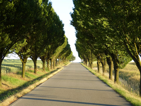 asphalt driveway replacement cost