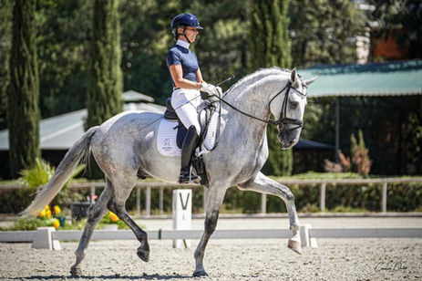 Mulher a montar um cavalo com sela