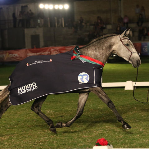 a horse with a blanket that says mundo equitazione on it