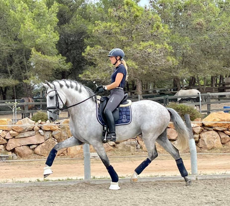 Mulher a montar um cavalo cinzento numa zona cercada