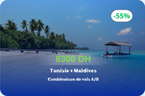 Évasion de rêve sans visa en juin : combinez la Tunisie et les Maldives et profitez d’une offre exceptionnelle sur vos billets d’avion ✈️🌴🔥