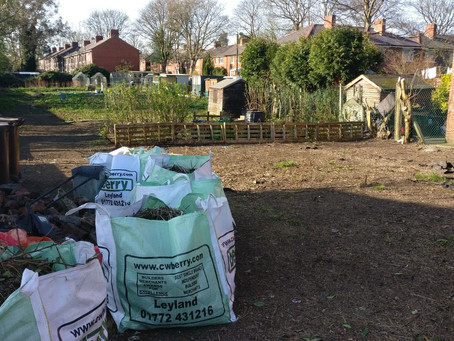 The first plot is visible!