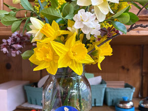 Spring flowers and spring events at Soap & Supply