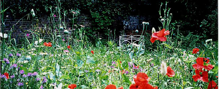 Barnes, meadow garden