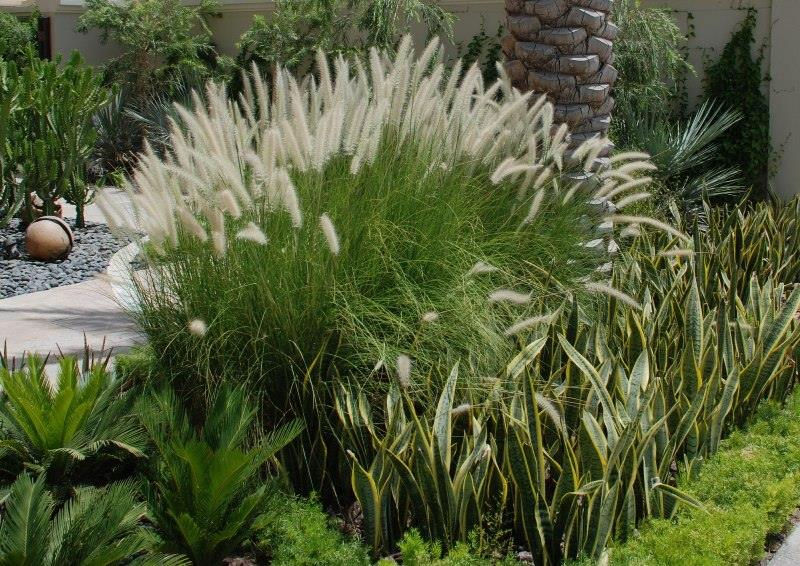 Grass garden