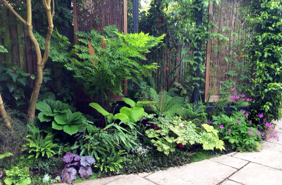 FOLIAGE GARDEN, KEW