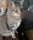 Resized_202003 (2).jpe