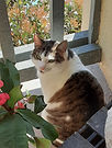 Resized_202003-1 (3).jpe
