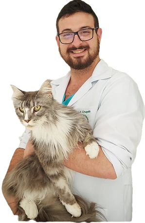 Médico Veterinário