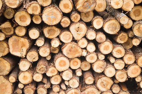 pile-wood-logs_1137-9.jpg