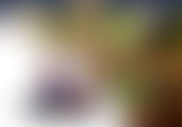 Farm together 2, un jeu de ferme doux et agréable