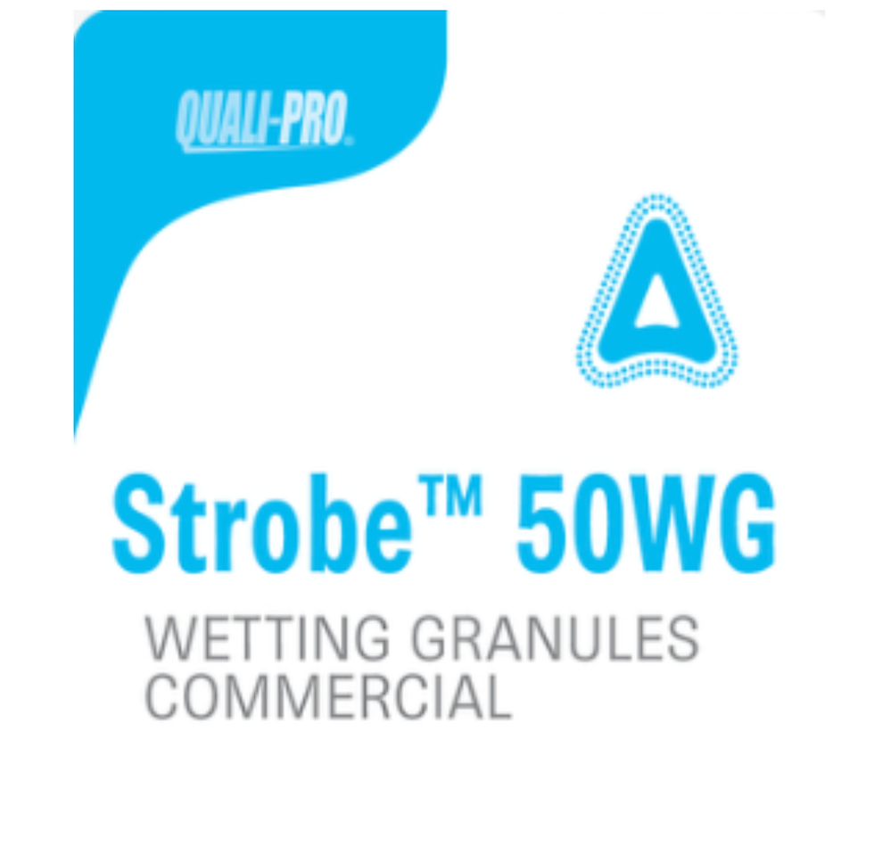 Strobe
