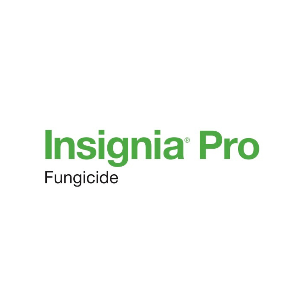 Insignia Pro