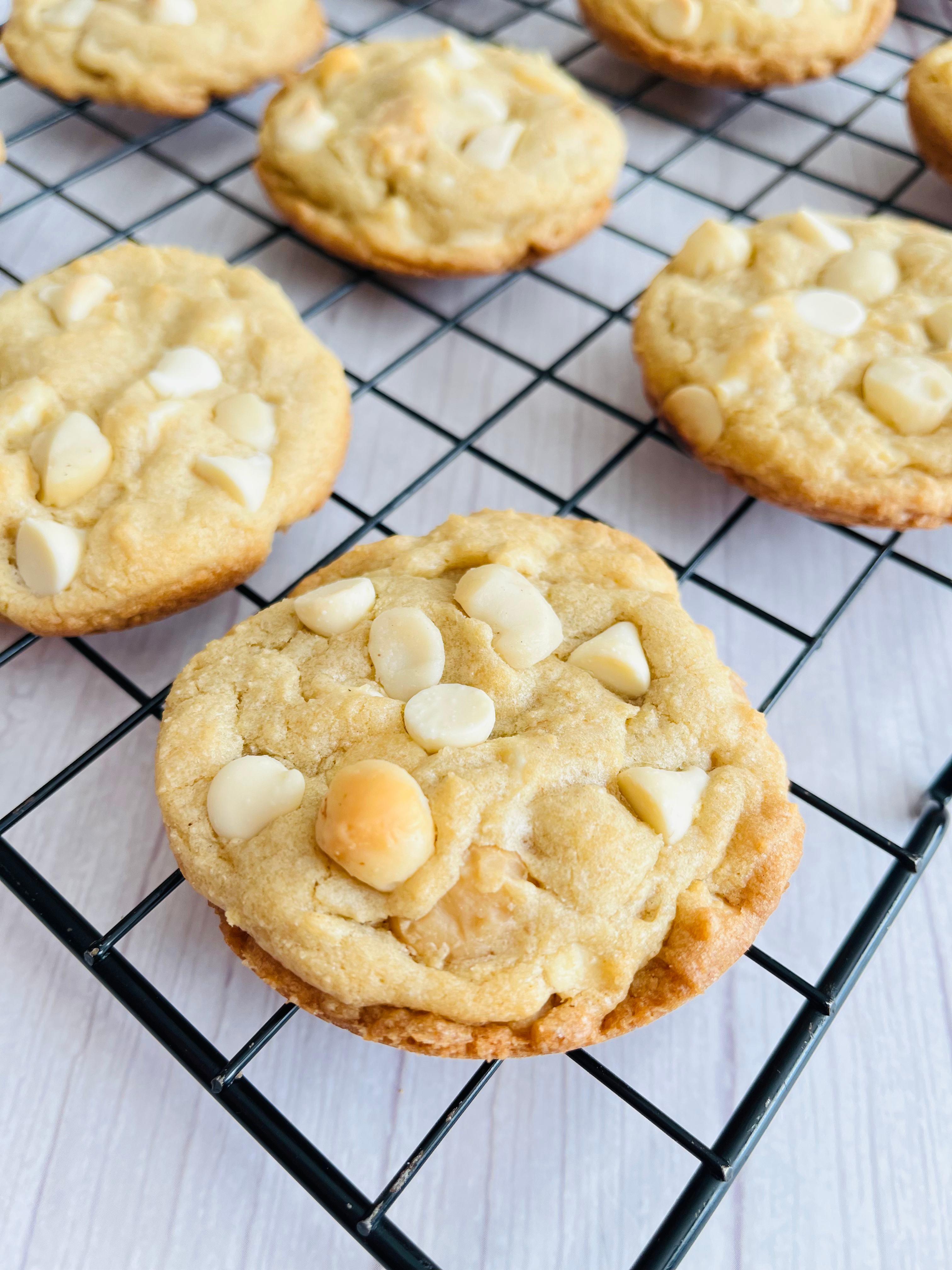 White Chocolate Macadamia Nut Cookie