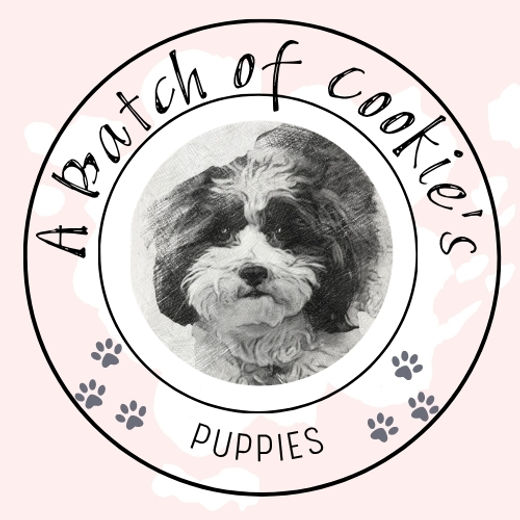 Simple Circle Logo Template Design With Initials - 1.jpeg