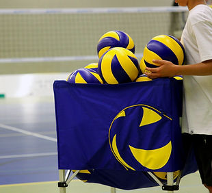 Volleyball Practice