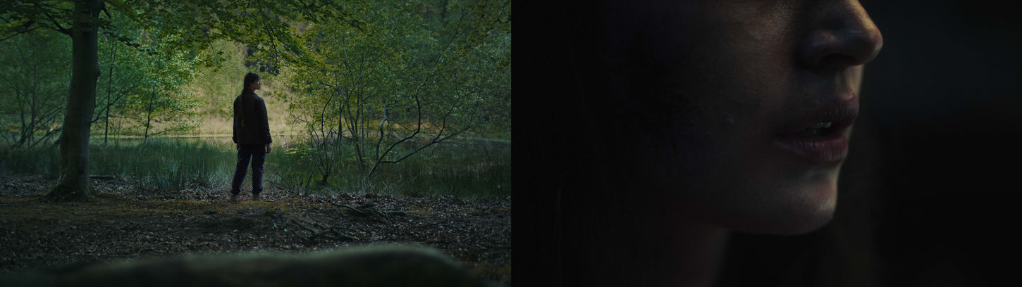 SURVIVOR SIDE BY SIDE.jpg