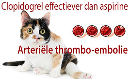Arteriële-thrombo-embolie-clopidogrel-ve
