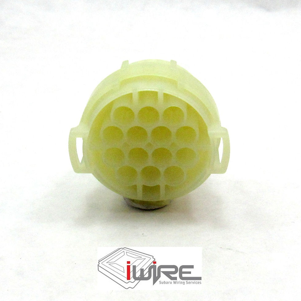 Subaru SVX Main Engine Plug A, 14 pin main engine plug