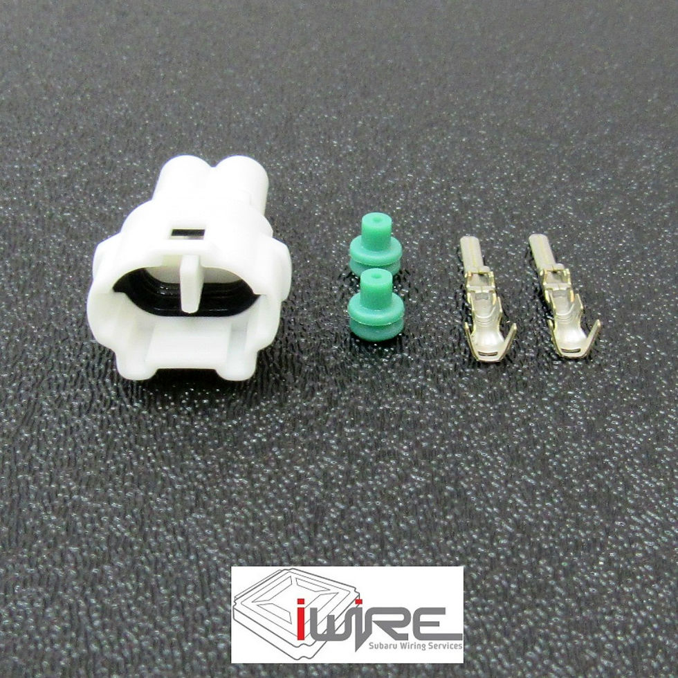 Subaru Fuel Level Receptacle