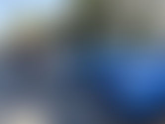 Brapchella 2018 Event Recap