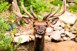Friends Having Coffee