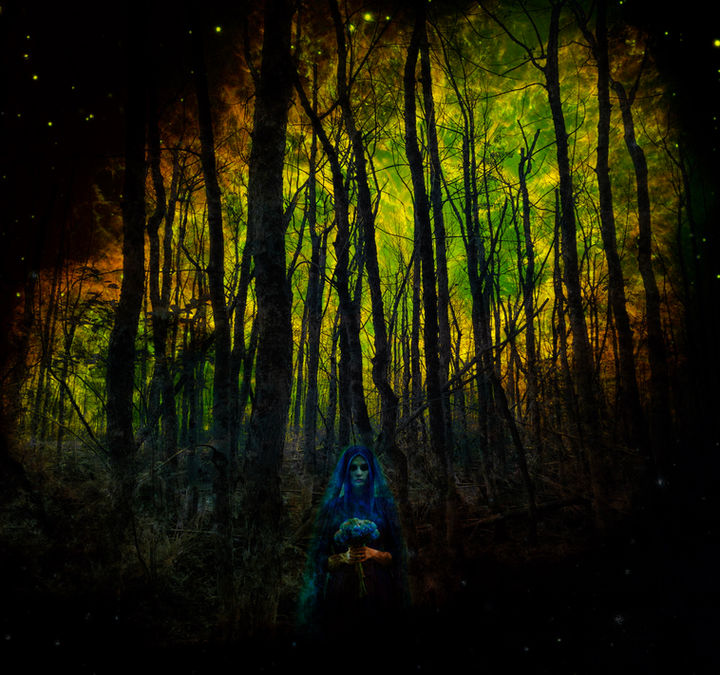 Chasing Phantoms.jpg