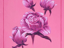 Pink in Society