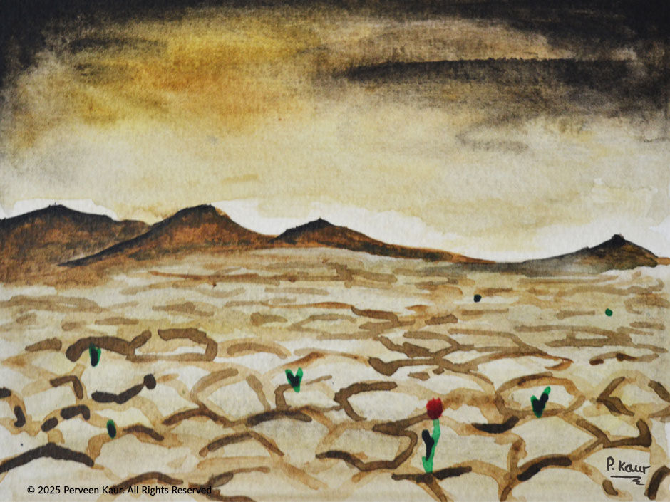 Arid landscape with cracked earth, a lone red flower, and green sprouts. Mountains under a moody, cloudy sky. Signed "P. Kaur".