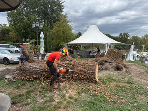 🌳 Aufräumen ist keine Last – wenn der Verein einfach Spaß macht.
