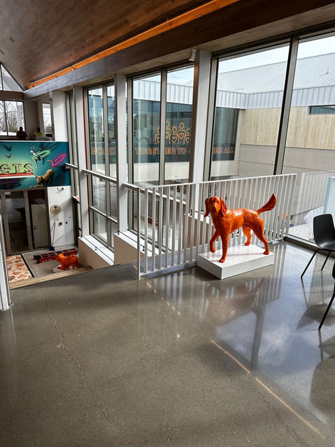 Orange, life-size, 3d printed dog statue.