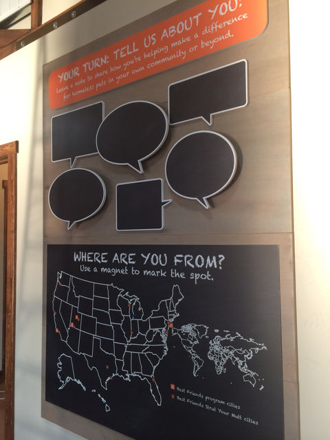 Chalkboard text bubble cluster, interactive display asking people "Where are you from".