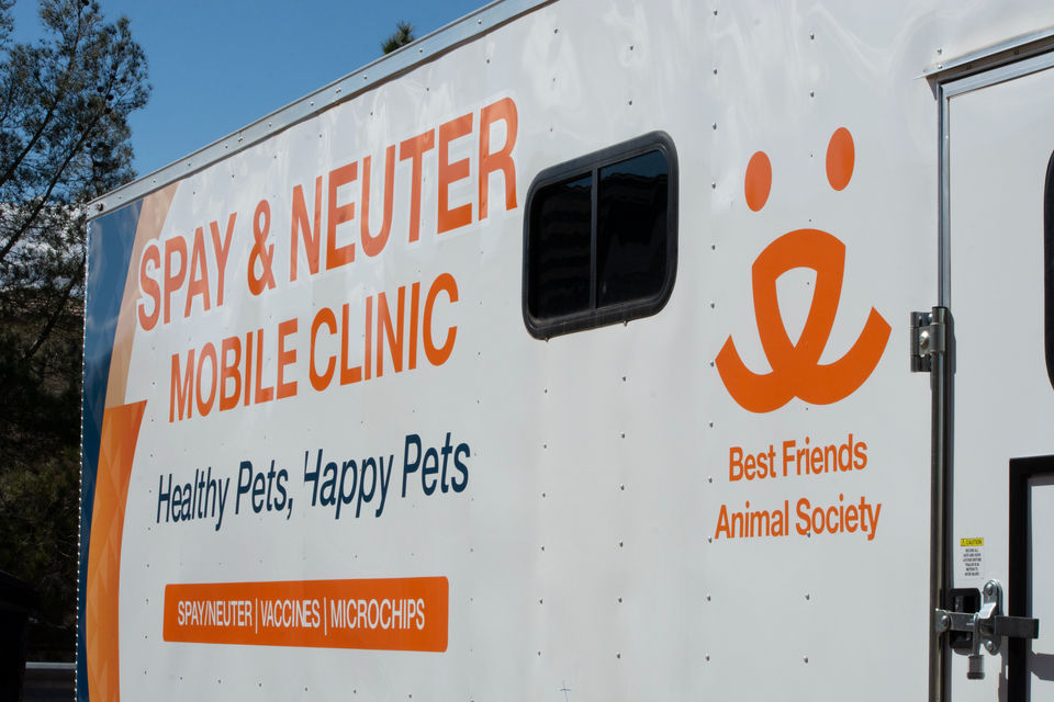 Custom printed decals, logos, and text applied strategically to a large trailer.