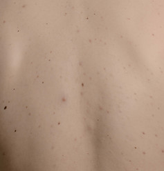 Sequential Skin Shoot One Olive (33).