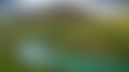 Guided Fly Fishing on the Blanda River System