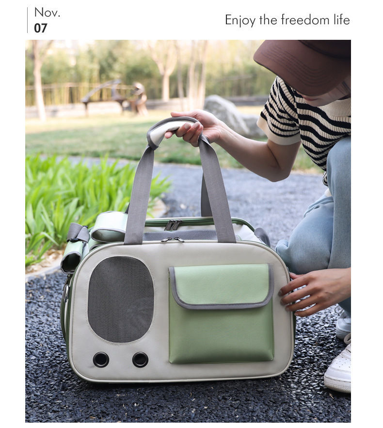 Thumbnail: Person holding a portable pet carrier bag outdoors.