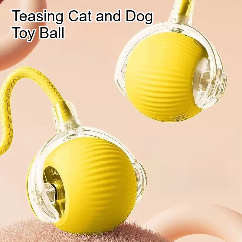 Thumbnail: Yellow Teasing Cat and Dog Toy Ball with text.