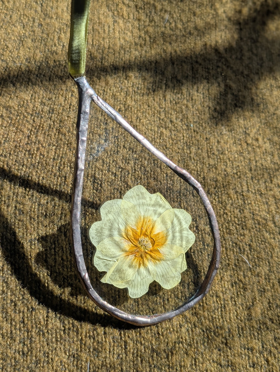 Pressed primrose flowers, set in glass