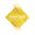 Foto do escritor: brightgoldproject