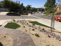 IMG_4290.JPG raduckal landscape