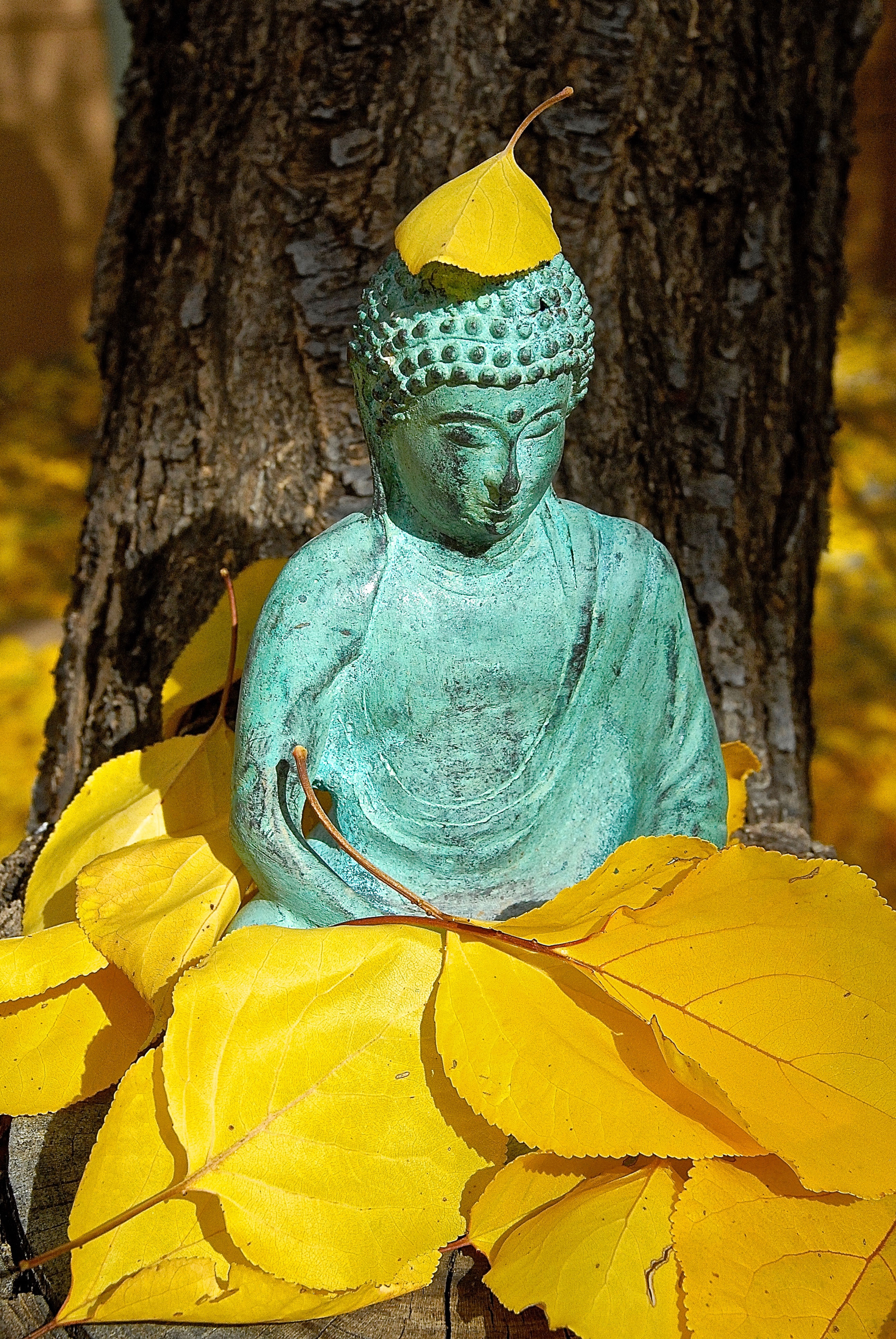 Autumn Buddha:  Santa Fe, New Mexico