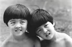chineseTWINS