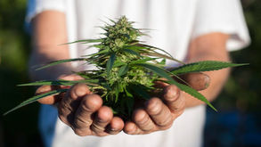 Mortgaging a Remediated Grow Op: Is it Even Possible?