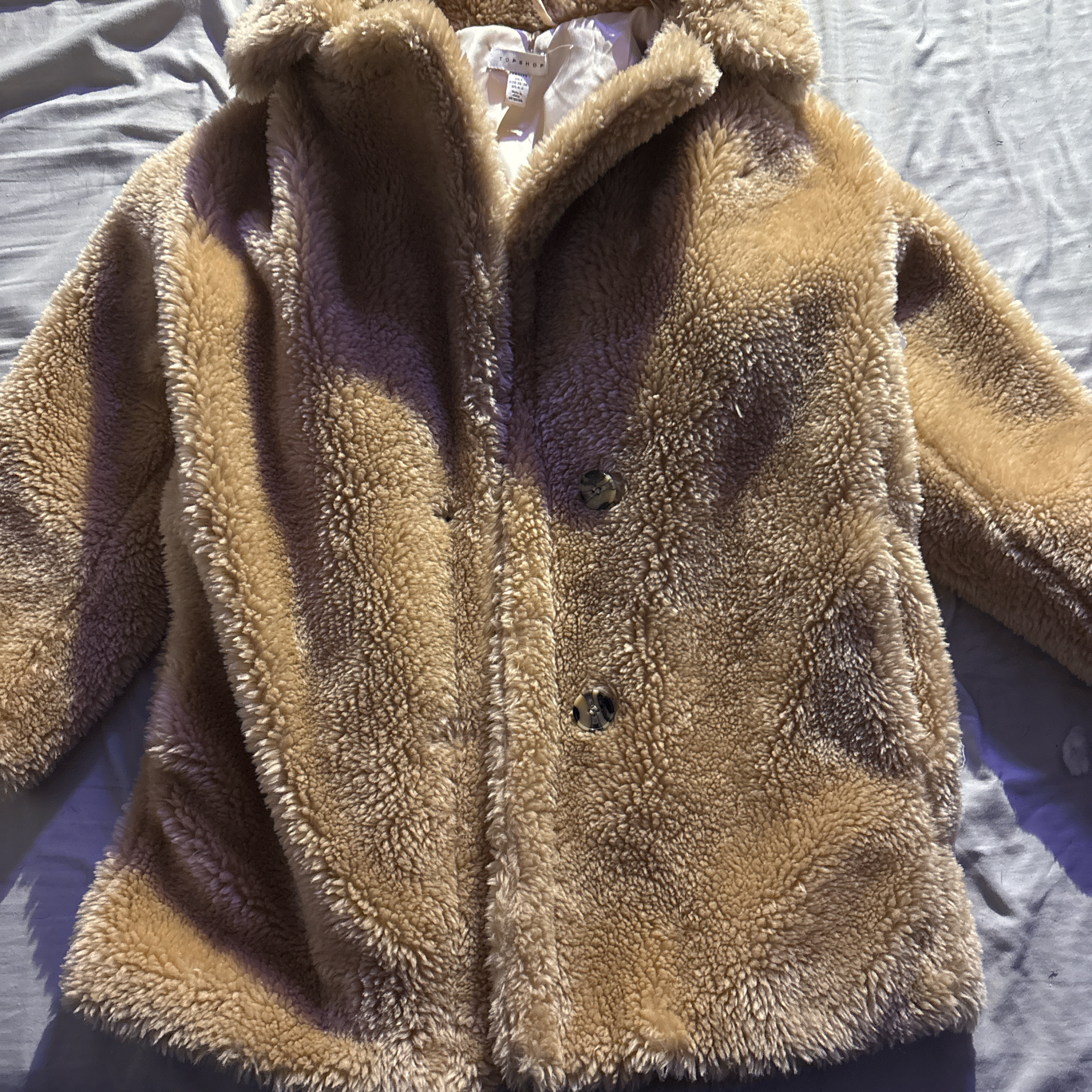 Teddy bear Brown coat