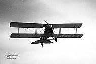  Nieuport Delage NiD 29 C1