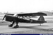 Auster AOP 6