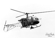 Alouette II